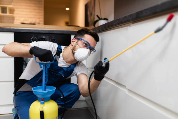 Best Best Pest Control Companies  in Interlachen, FL