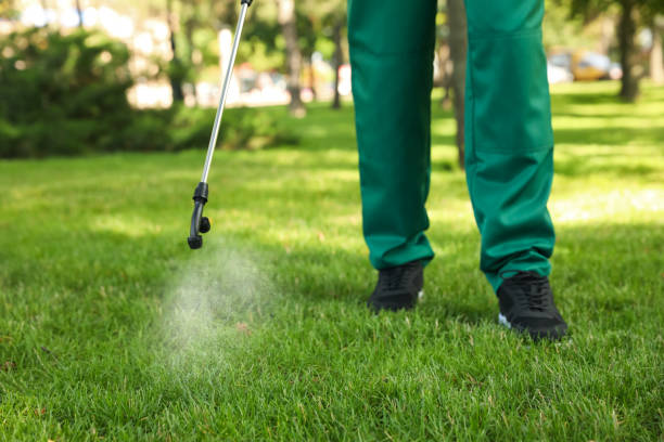 Best Cockroach Control Services  in Interlachen, FL