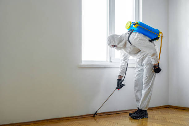 Best Best Pest Control Companies  in Interlachen, FL