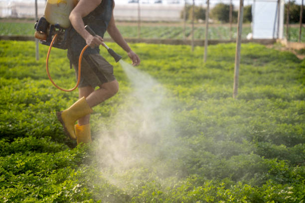 Best Wasp Removal Services  in Interlachen, FL
