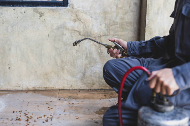 Pest Control Cost in Interlachen, FL