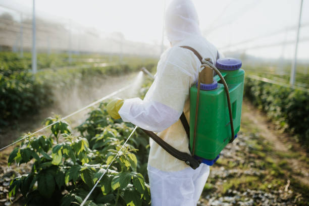 Best Local Pest Control Services  in Interlachen, FL